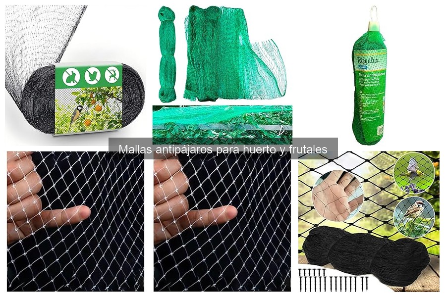 Ventajas y desventajas de las mallas antipájaros en huertos