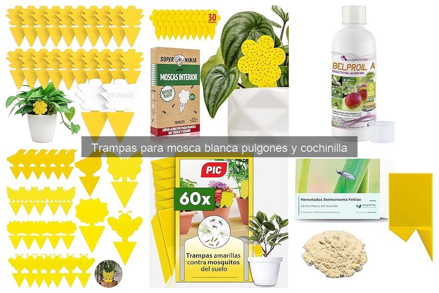 Ventajas y Desventajas de las Trampas para Insectos