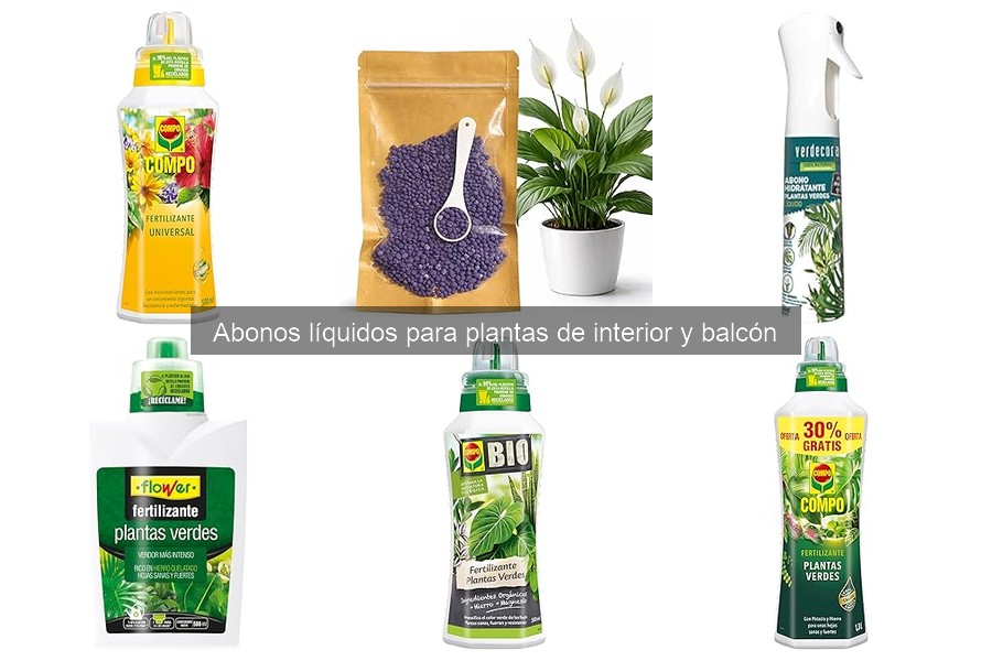 Ventajas y desventajas de los abonos líquidos para plantas