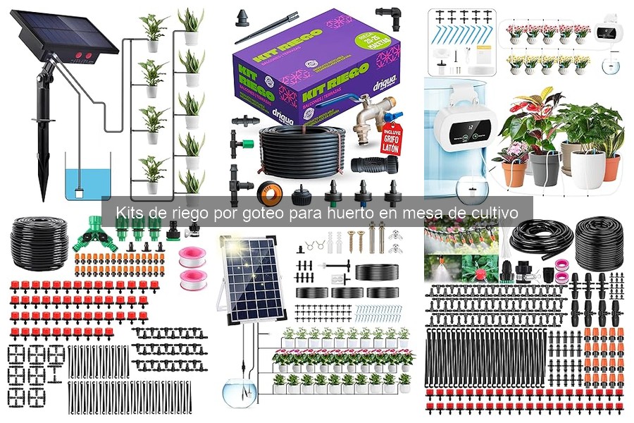 Ventajas y desventajas de los kits de riego por goteo