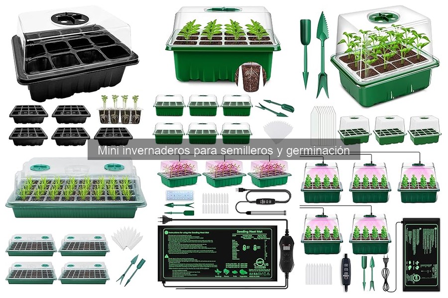 Ventajas y Desventajas de los Mini Invernaderos para Semilleros