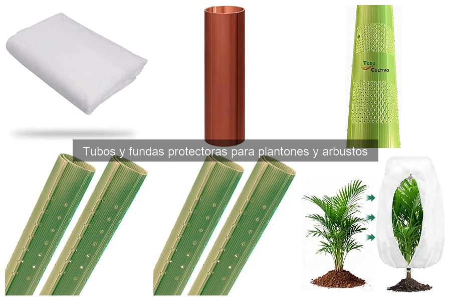 Ventajas y desventajas de tubos protectores para plantas