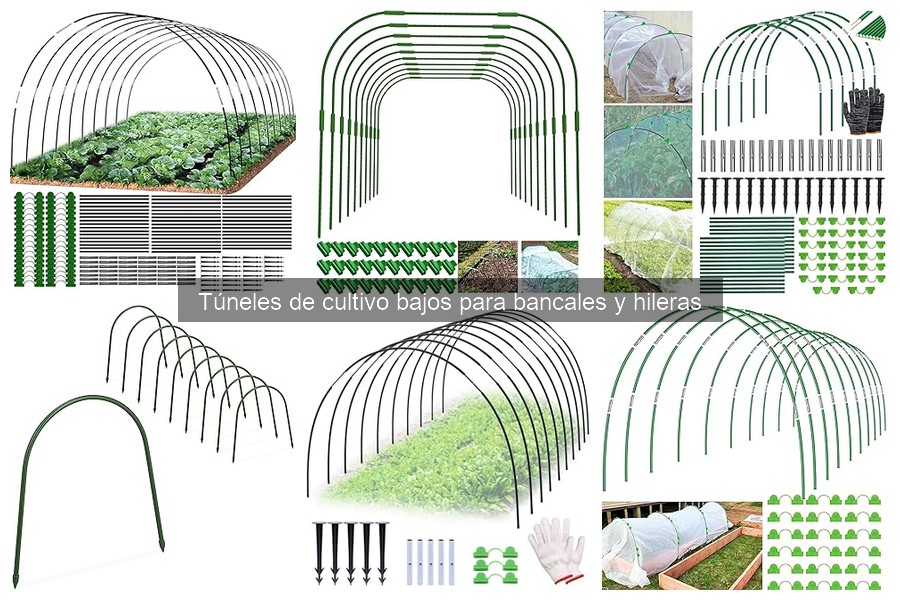 Ventajas y Desventajas de Túneles de Cultivo Bajos