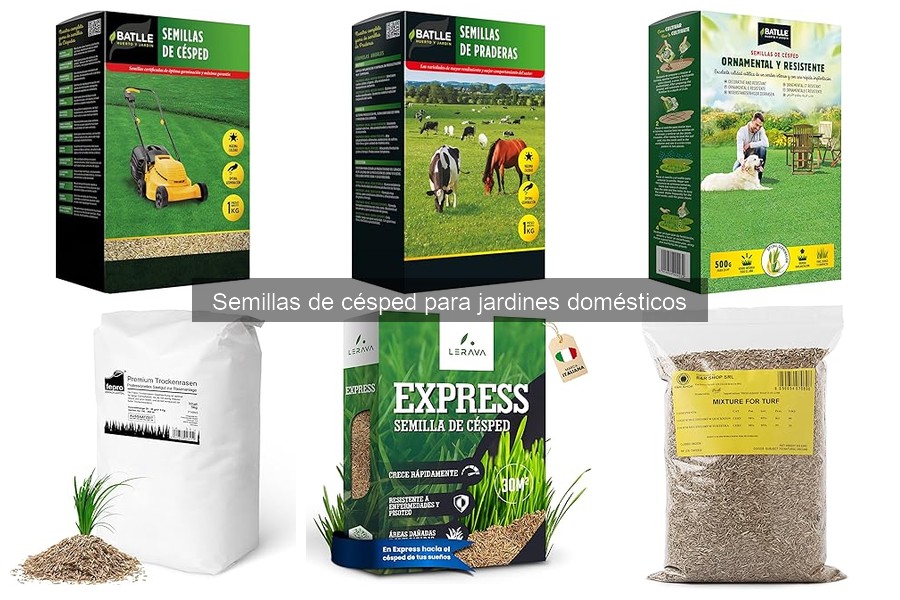 Ventajas y desventajas de usar semillas de césped