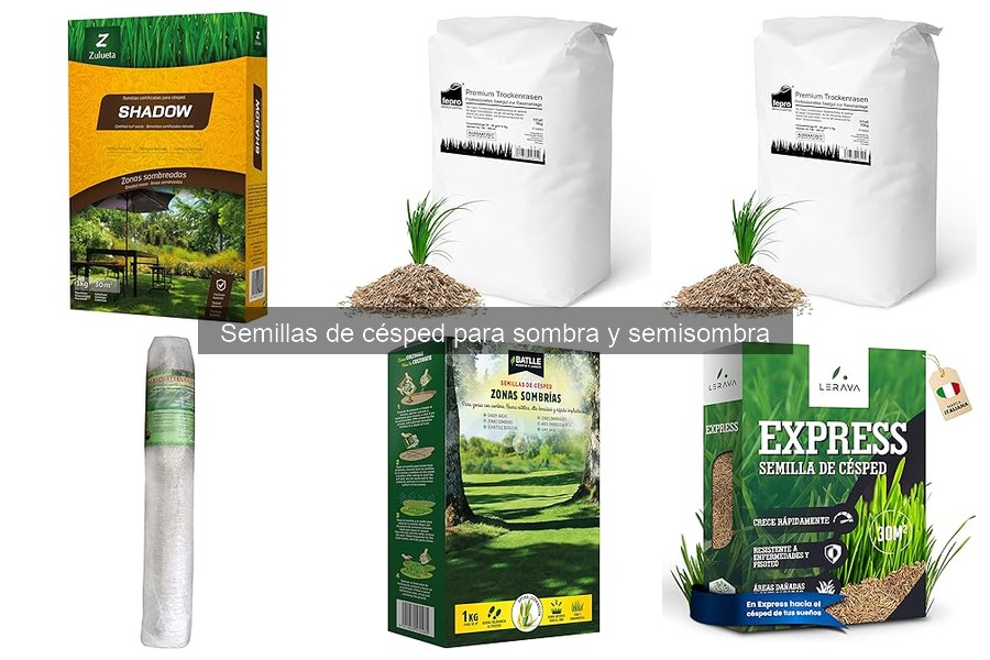 Ventajas y desventajas del césped en sombra