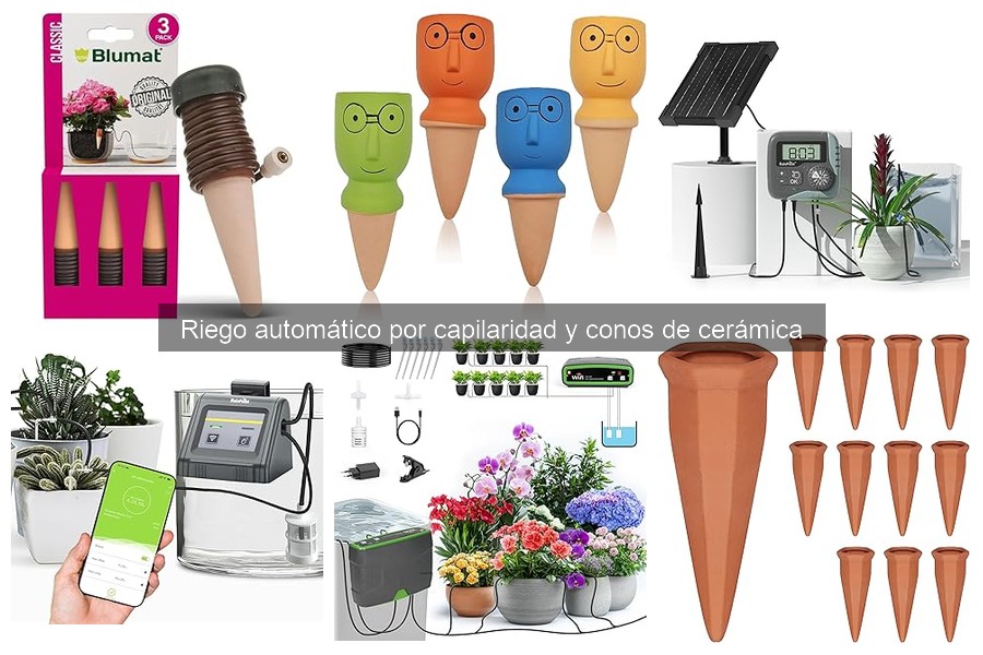 Ventajas y desventajas del riego automático por capilaridad