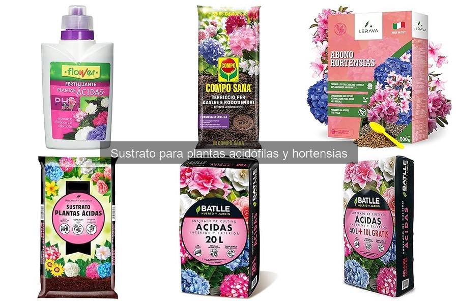 Ventajas y desventajas del sustrato para plantas acidófilas