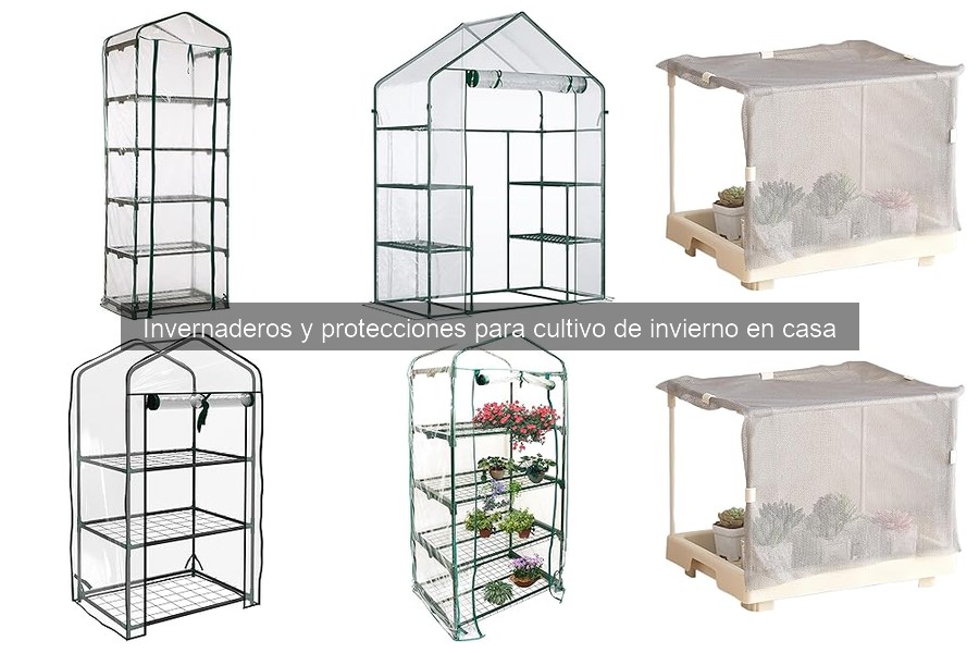 Ventilación Adecuada en Invernaderos: Claves para el Cultivo